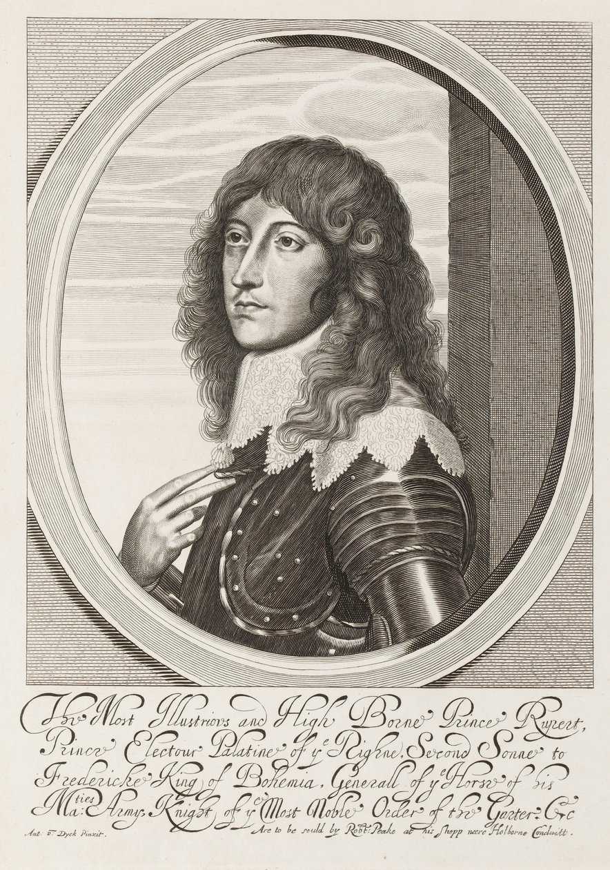  O mais ilustre e alto príncipe Rupert , 1640 cerca de de Anthony van Dyck
