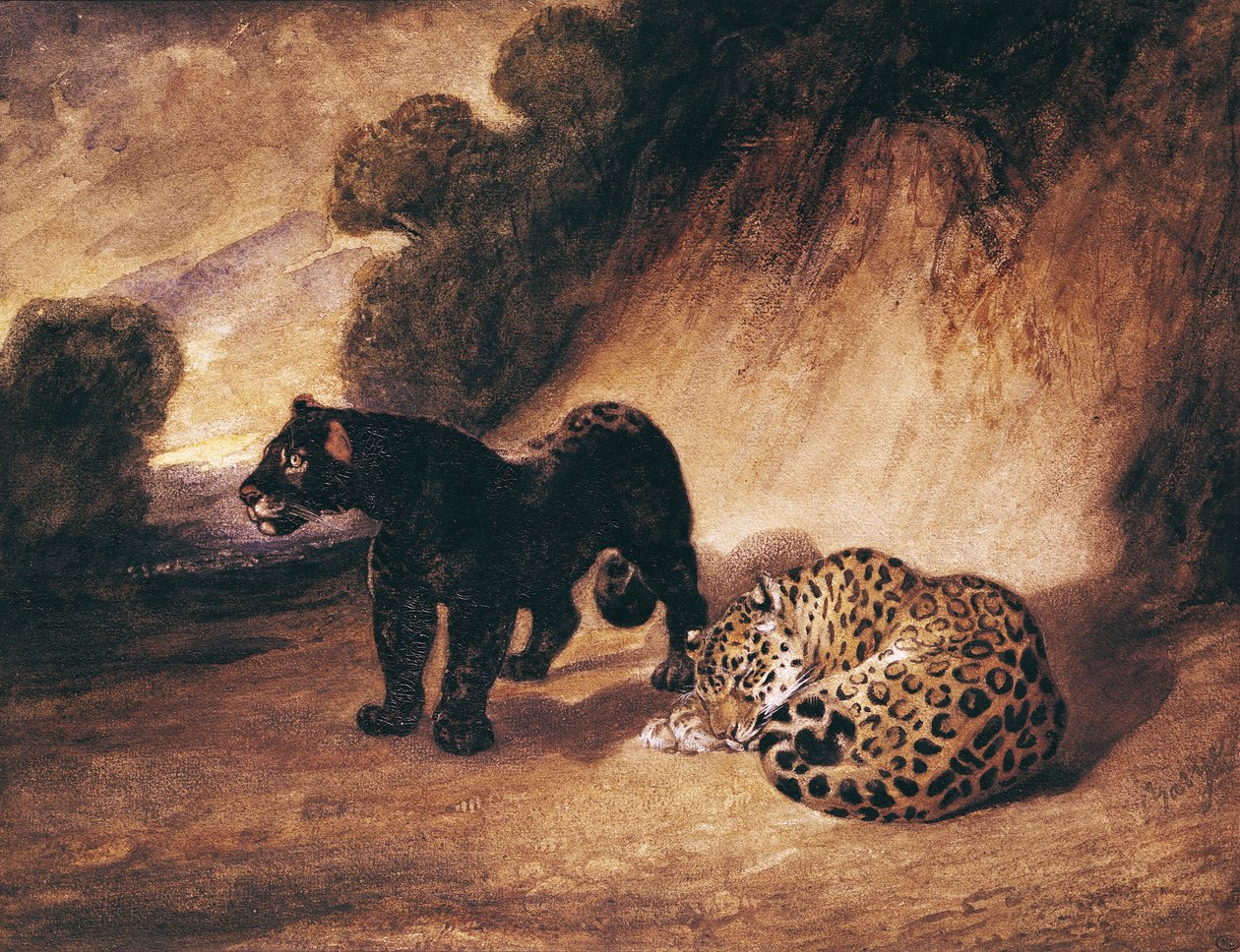 Dois jaguares do Peru de Antoine Louis Barye