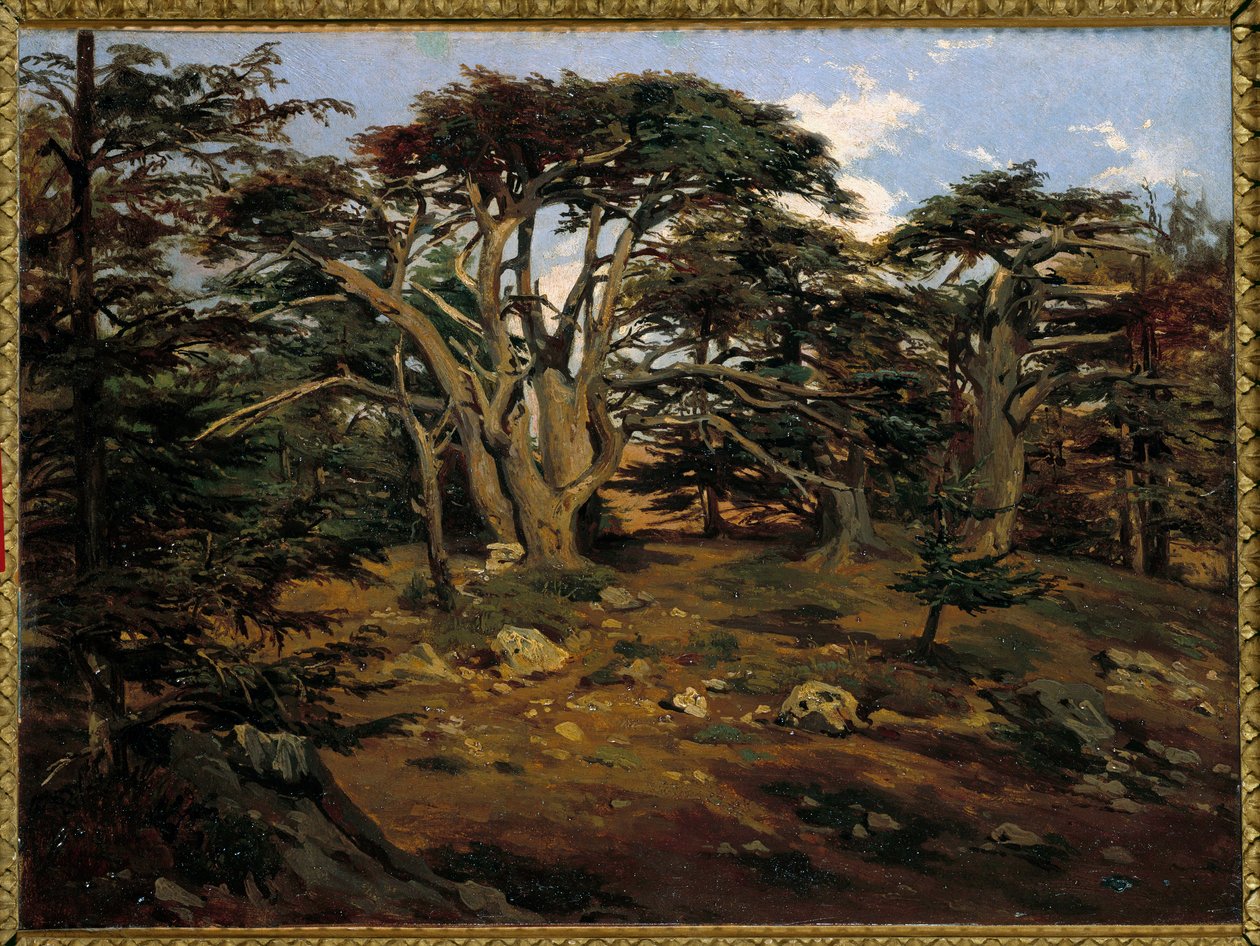 Os Velhos Cedros do Monte Líbano em Boumana Pintura de Antoine Alphonse Montfort (1802-1884) Sol do século XIX. 0,32x0,44 m Paris, musee d