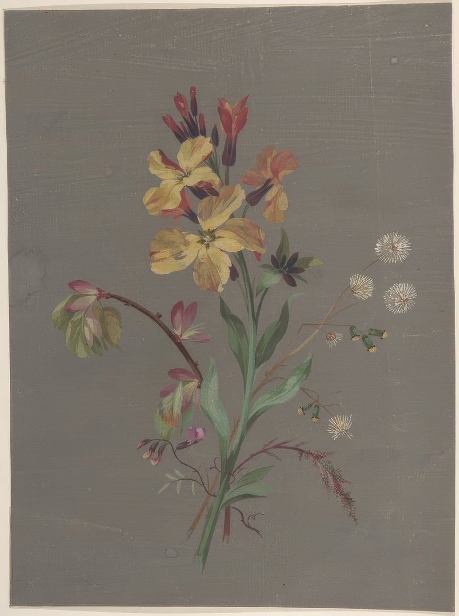 Desenho Floral de Antoine Berjon