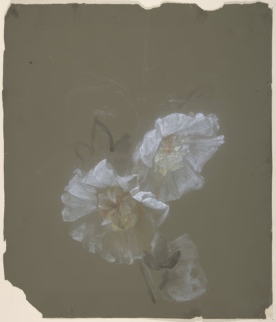 Desenho Floral de Antoine Berjon