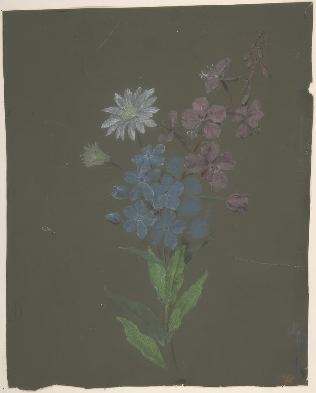 Desenho Floral de Antoine Berjon