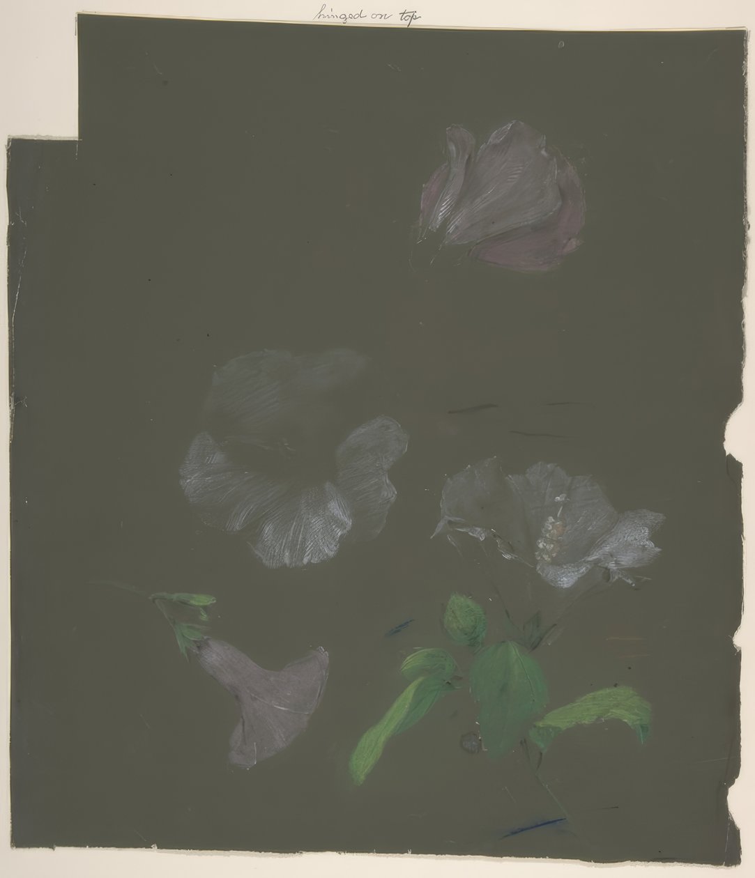 Desenho Floral de Antoine Berjon