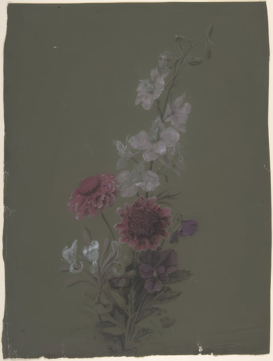 Desenho Floral de Antoine Berjon