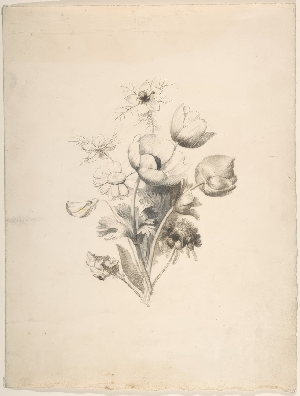 Desenho Floral de Antoine Berjon