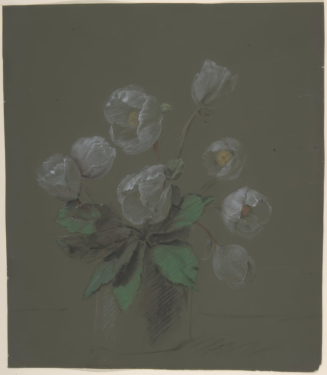 Desenho Floral de Antoine Berjon