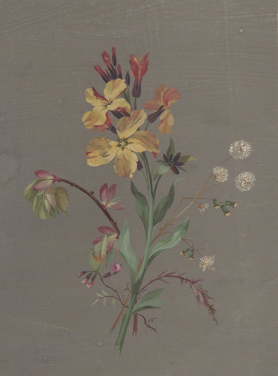 Floresta. de Antoine Berjon