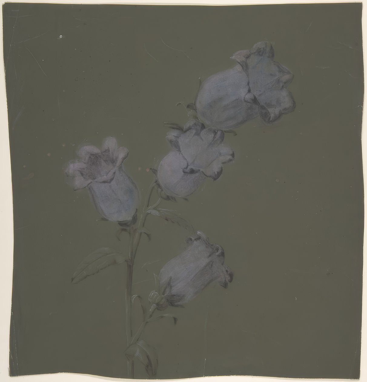 Spray de Sinos de Canterbury de Antoine Berjon