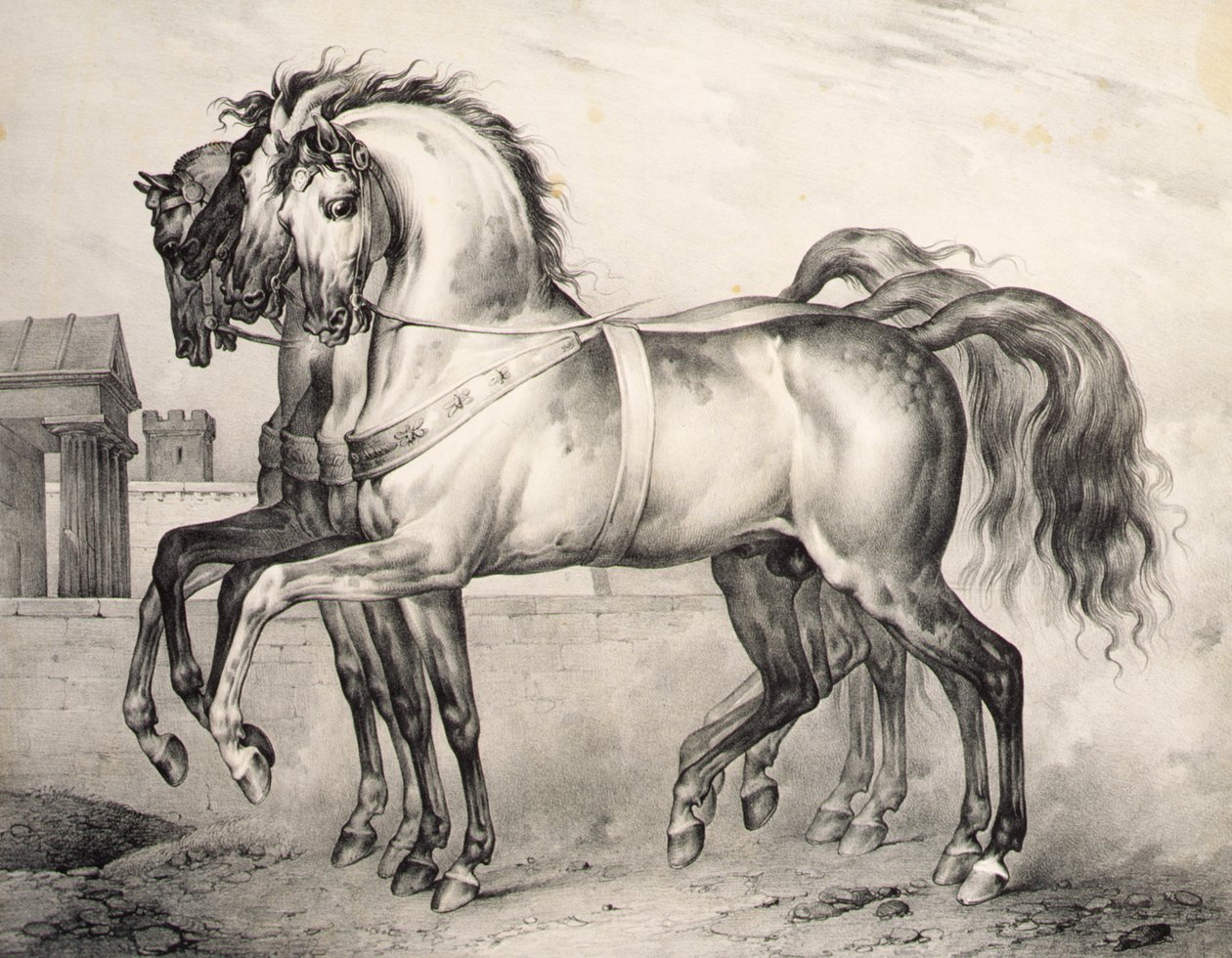 Os cavalos montados por Louis Philippe, o Duque de Orleans na Batalha de Valmy, gravados por Victor Adam (1801-66) c.1834-38 (litho) de Antoine Charles Horace Vernet