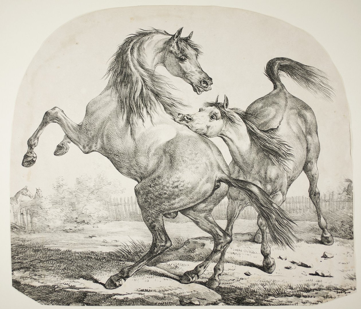 Cavalos selvagens lutando, c.1820 de Antoine Charles Horace Vernet