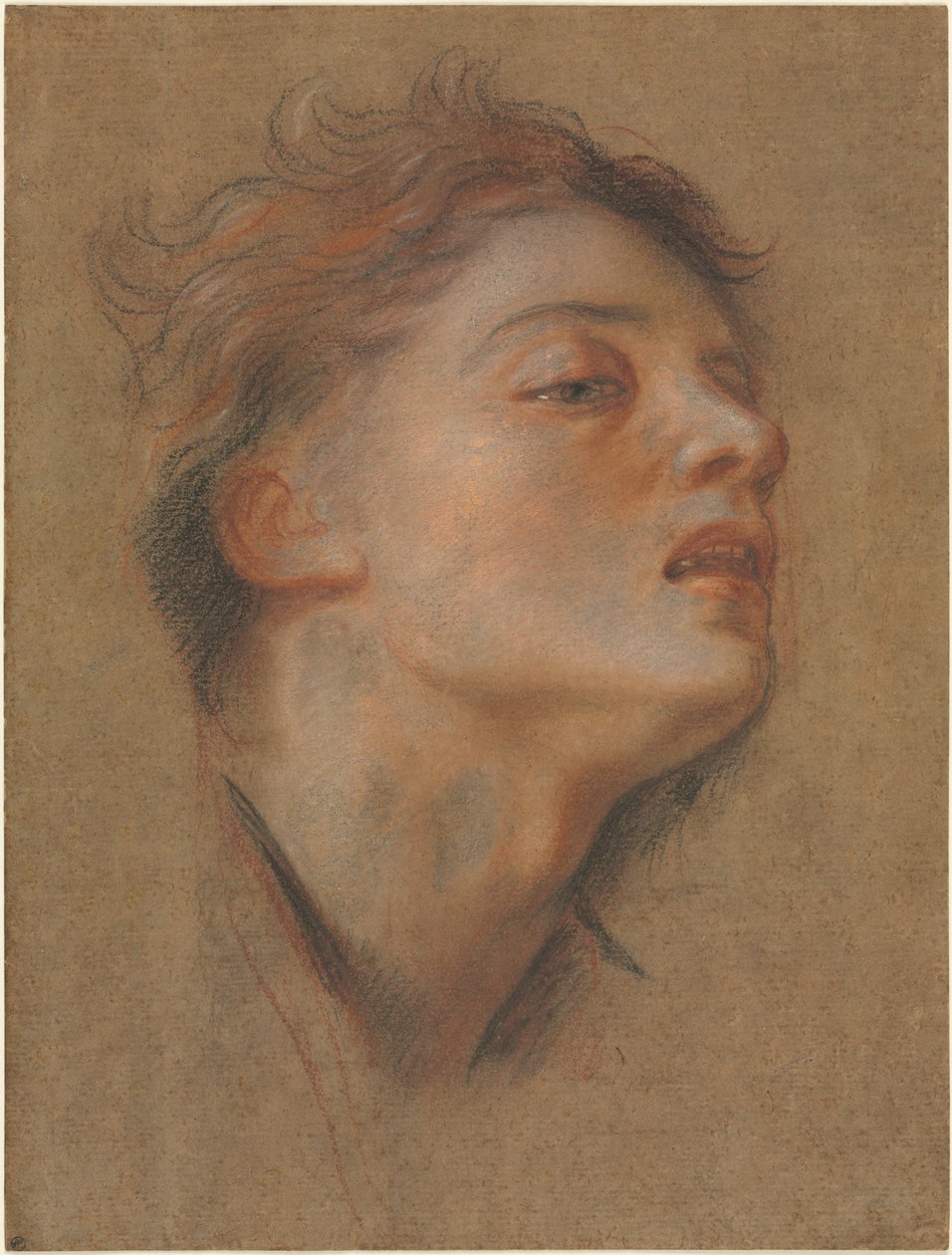 Cabeça de um jovem de Antoine Coypel