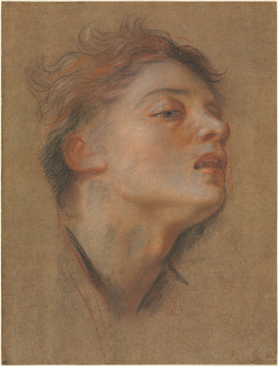 Cabeça de um jovem, 1715-1717. de Antoine Coypel