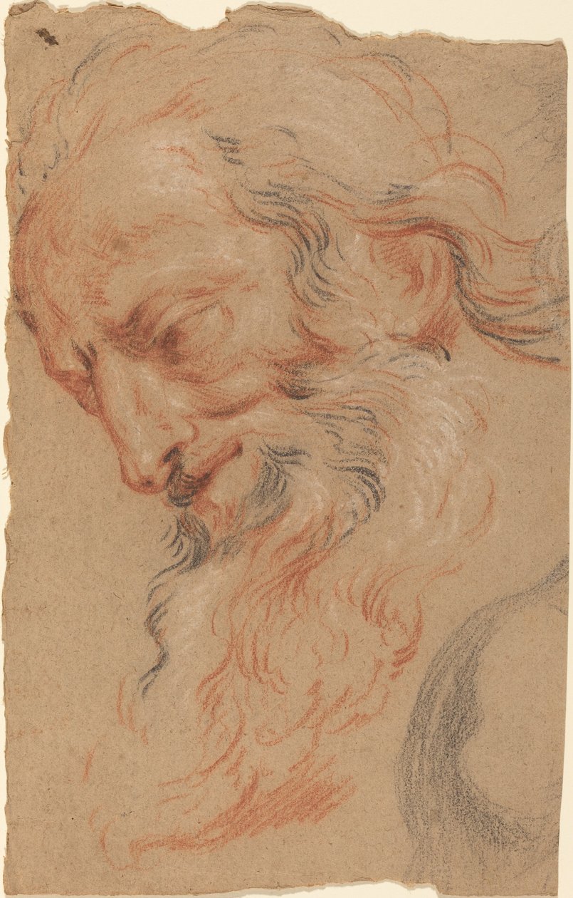 Cabeça de um velho de Antoine Coypel