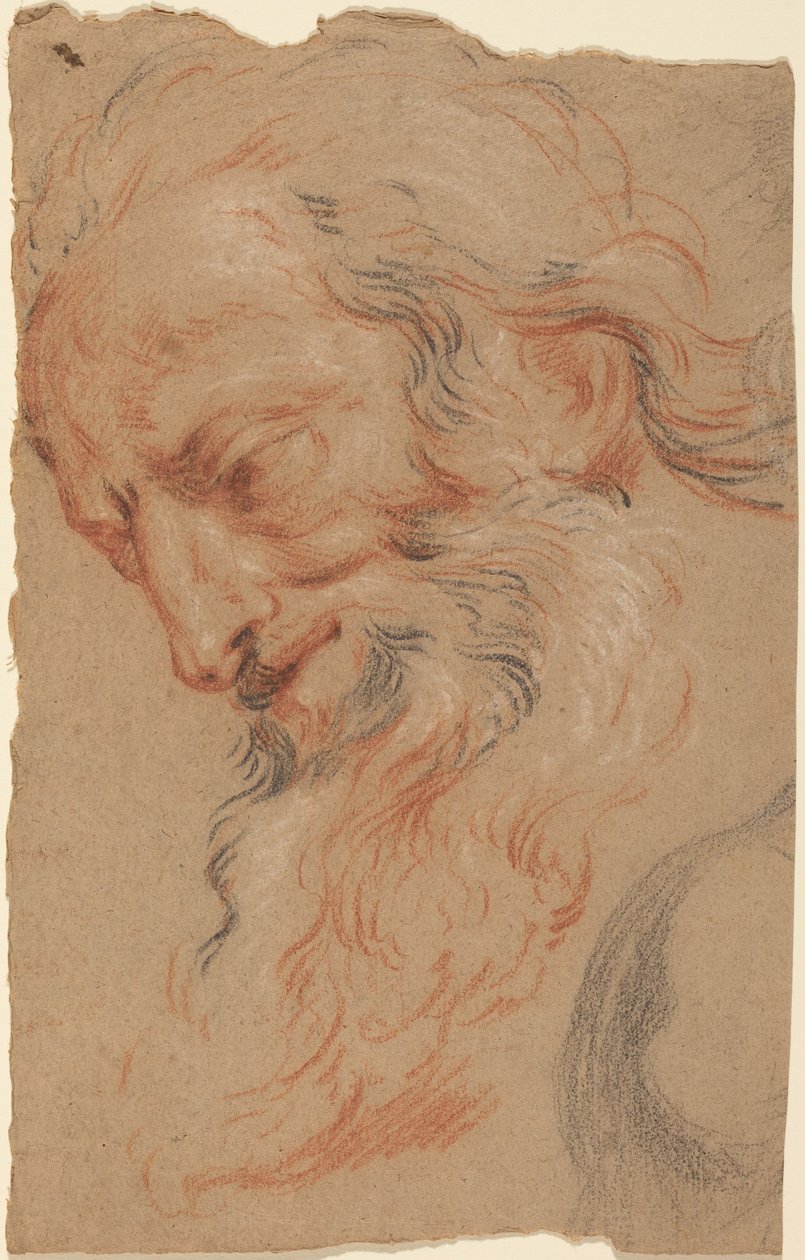 Cabeça de um homem idoso de Antoine Coypel