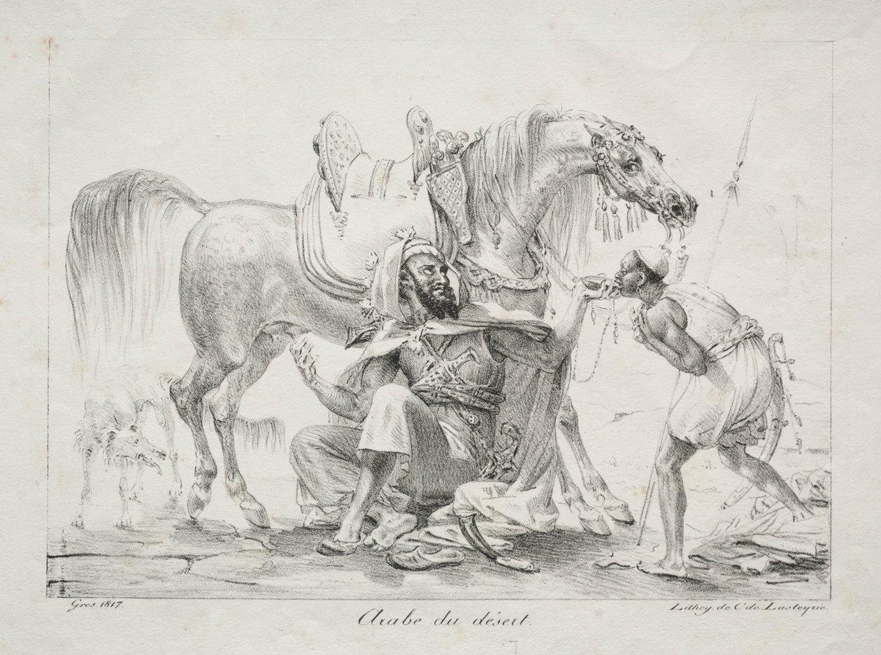 Árabe do deserto, 1817. de Antoine Jean Gros