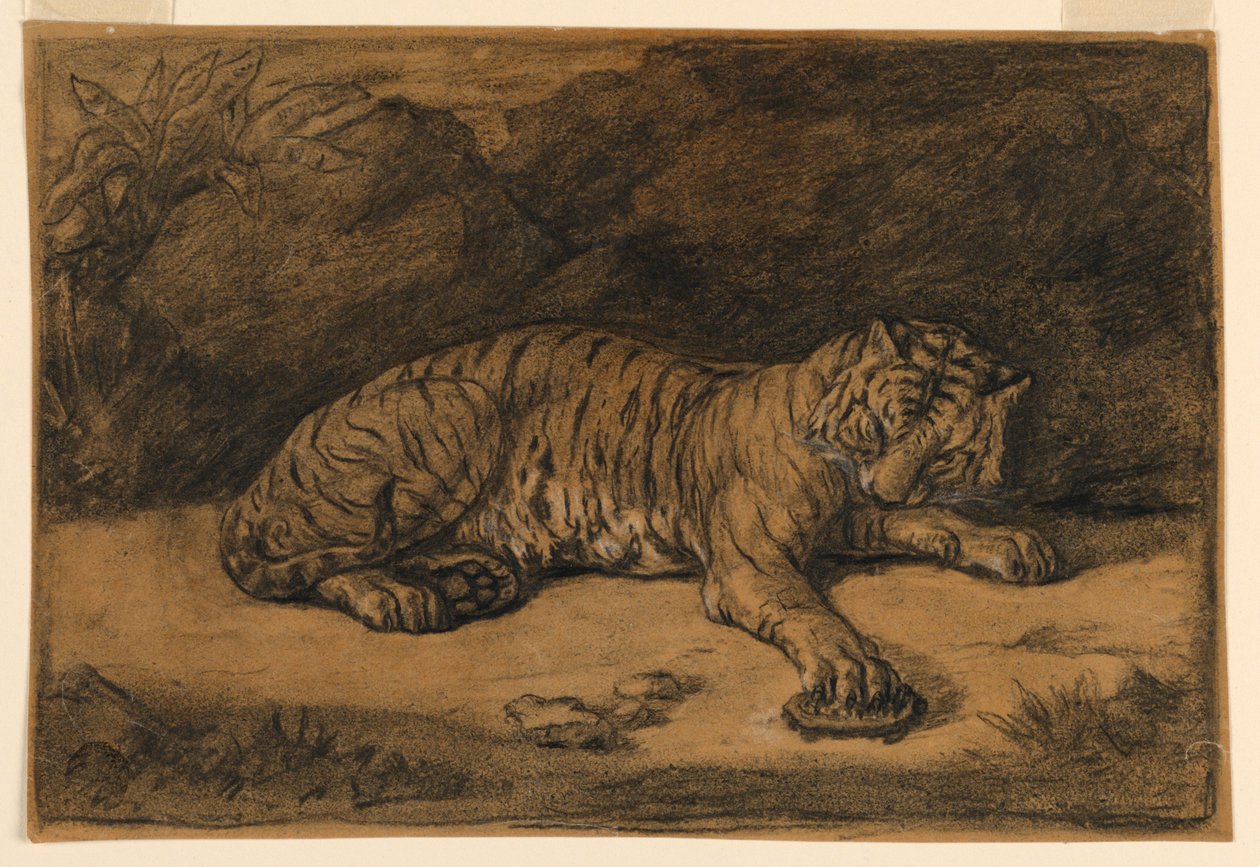 Um tigre e uma tartaruga de Antoine Louis Barye