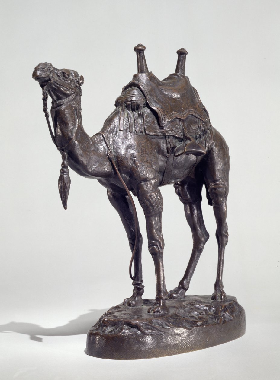 Dromedário Egípcio com Arnês (bronze) de Antoine Louis Barye