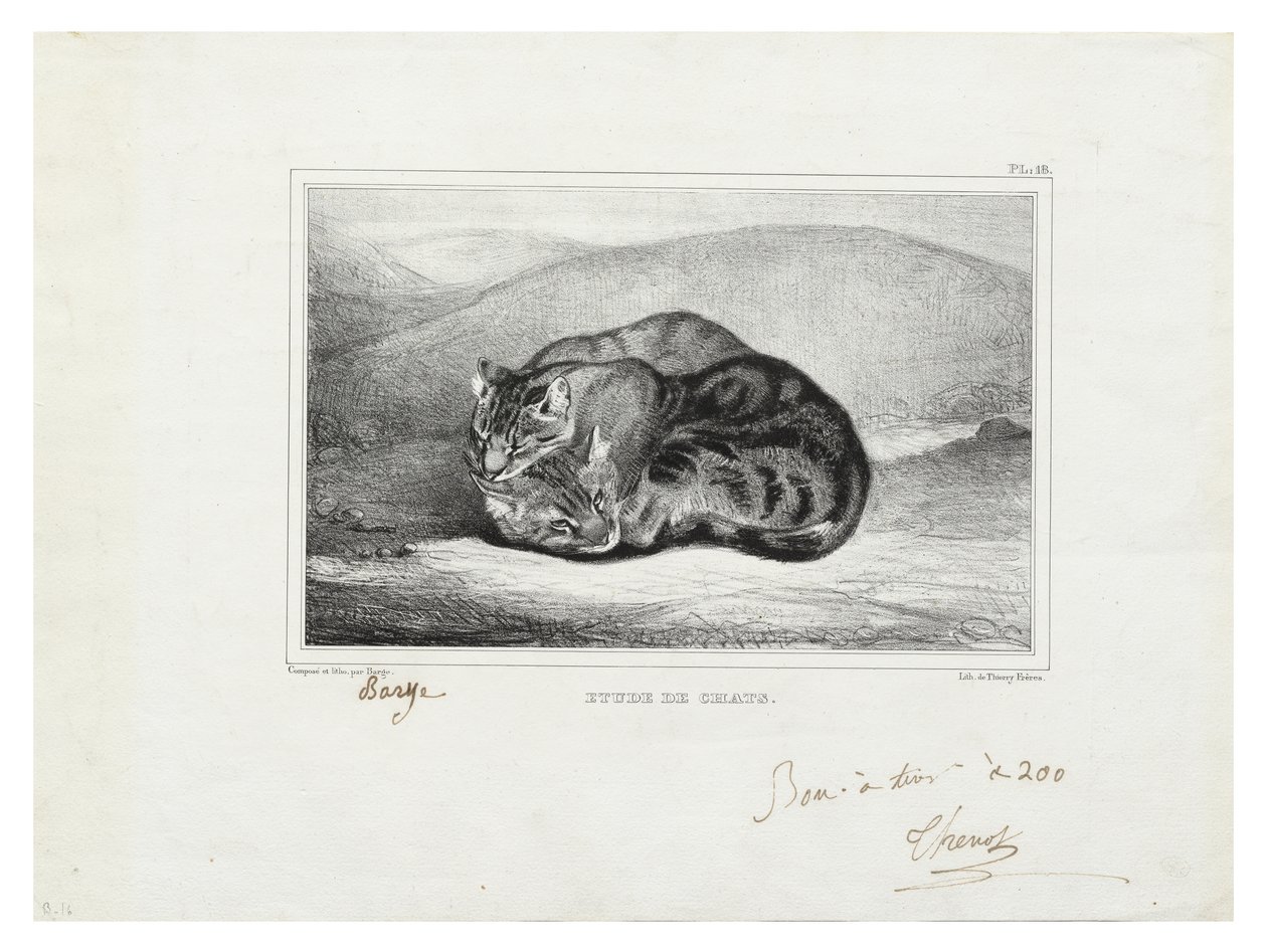 Estudo dos gatos de Antoine Louis Barye