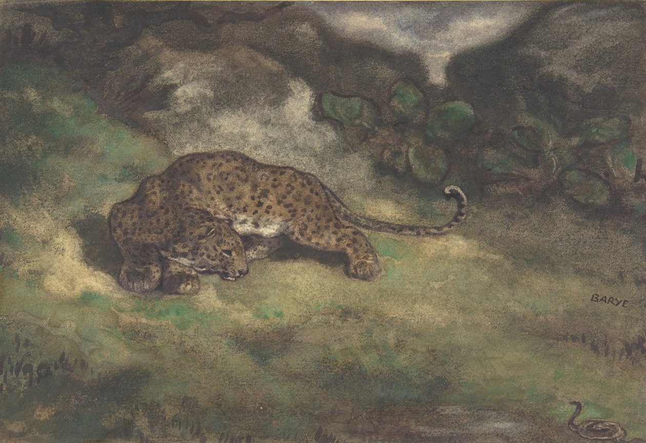 Leopardo e serpente, 1810-1875 (wc no papel colocado) de Antoine Louis Barye