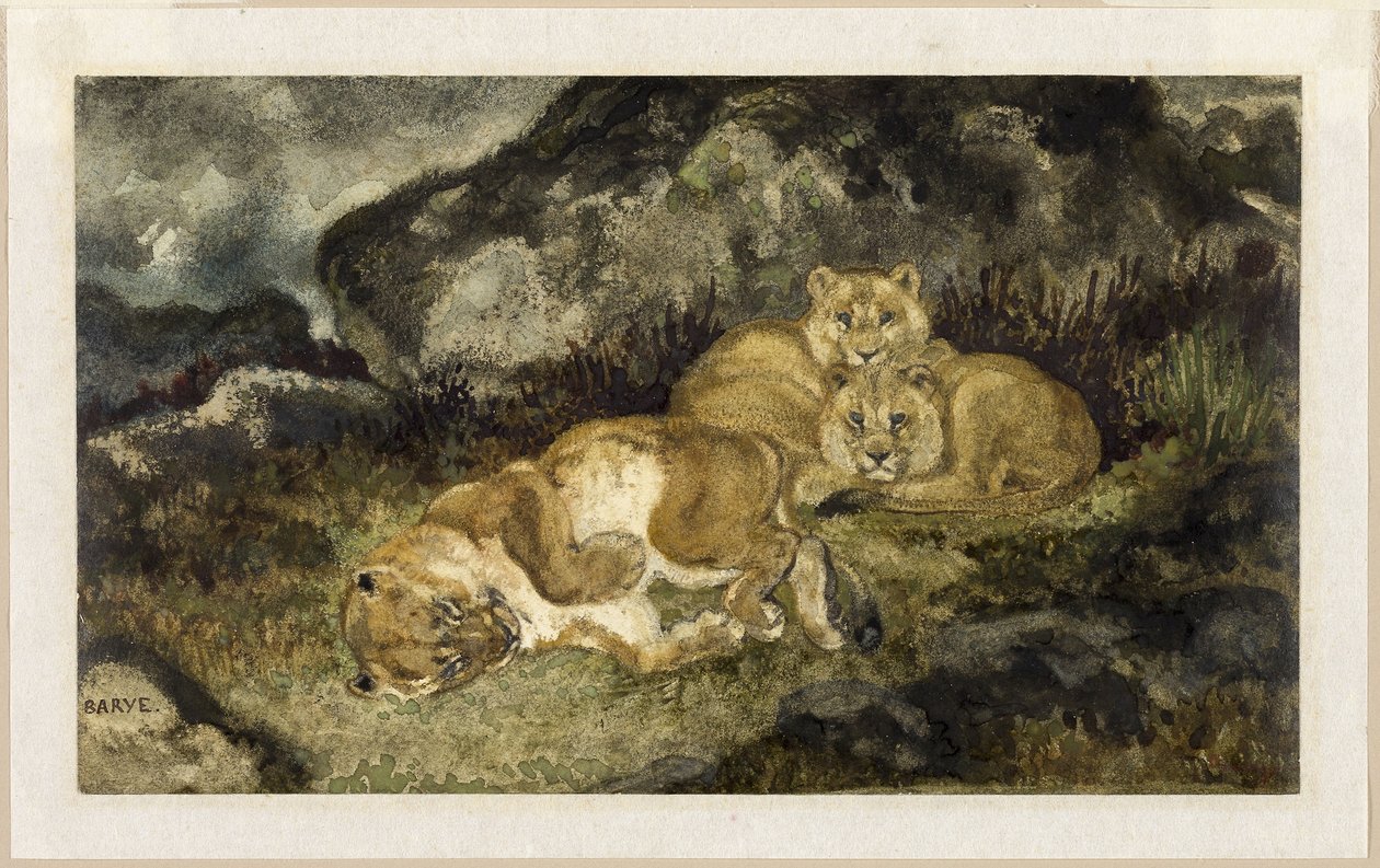 Leoa e filhotes, c.1832 (aguarela e grafite, sobre papel de marfim) de Antoine Louis Barye