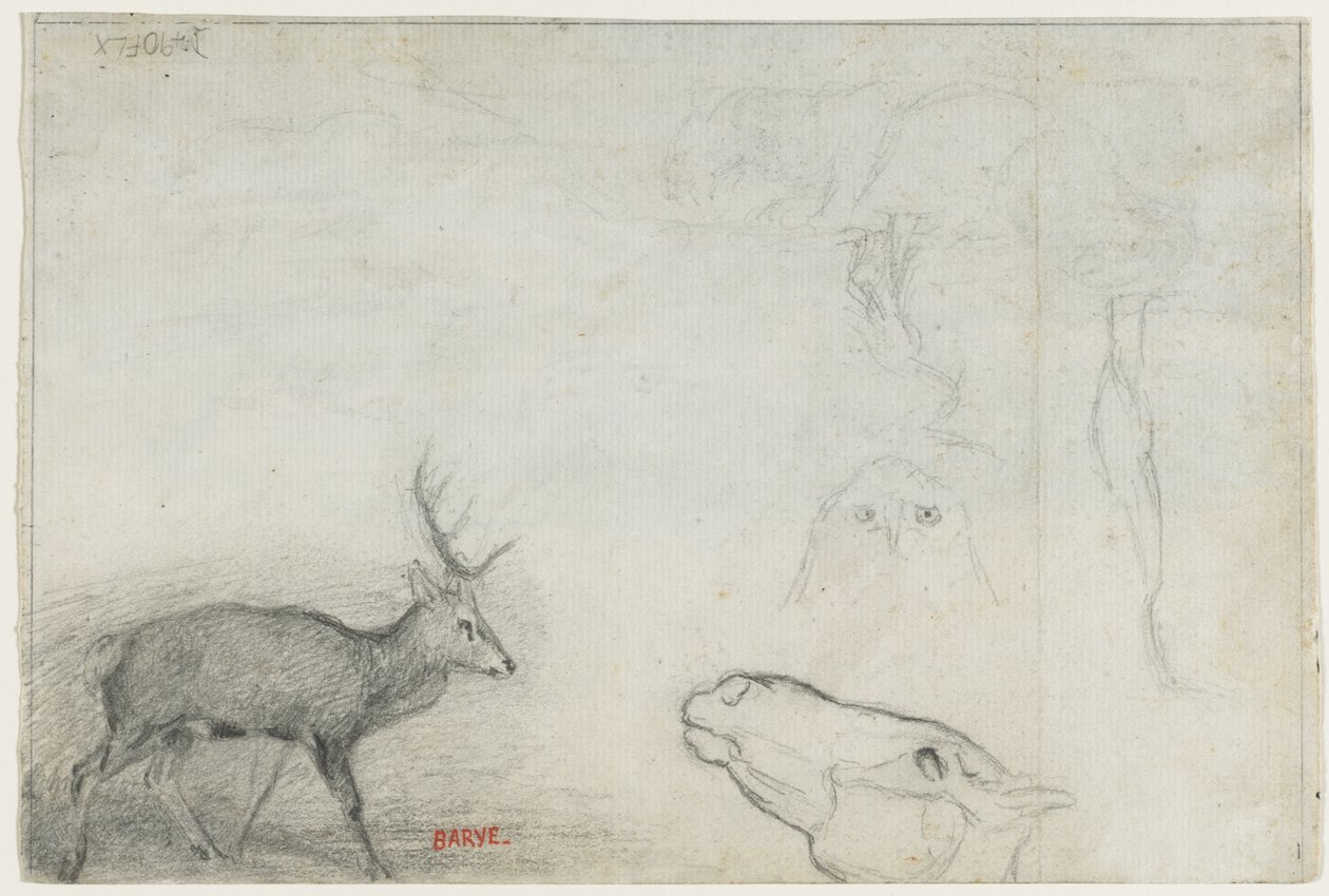 Estudos de Animais (verso) de Antoine Louis Barye