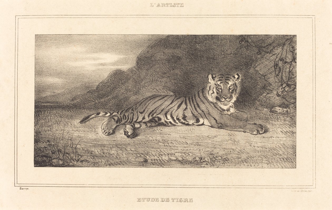 Estudo de um tigre de Antoine Louis Barye