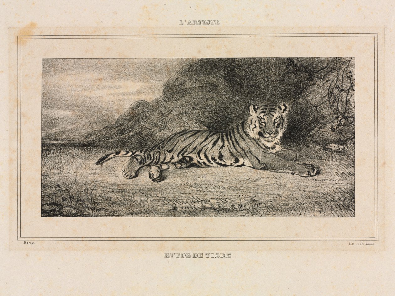 Estudo de um tigre de Antoine Louis Barye