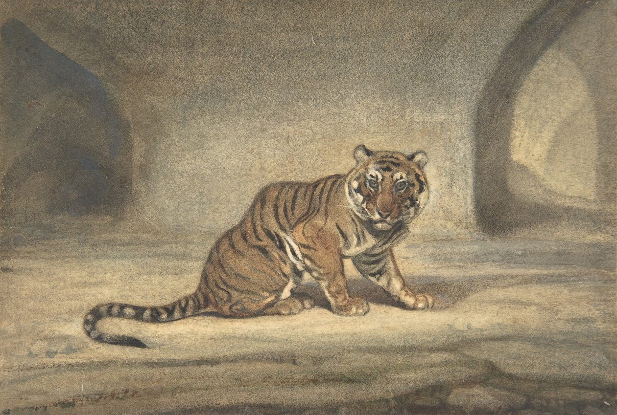 Tigre, 1810-75. de Antoine Louis Barye
