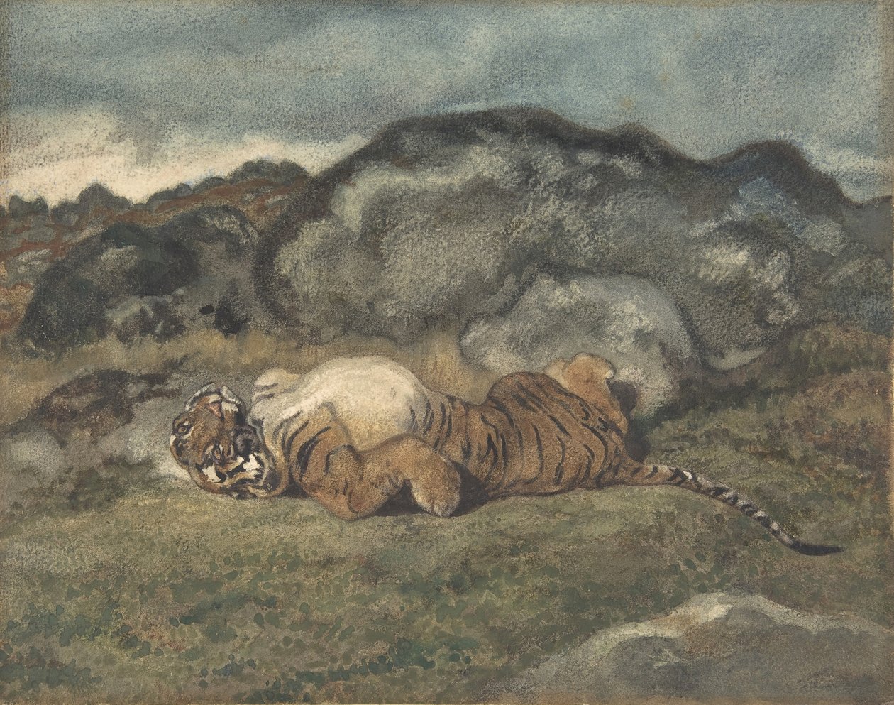Tigre rolando de costas, 1810-75. de Antoine Louis Barye