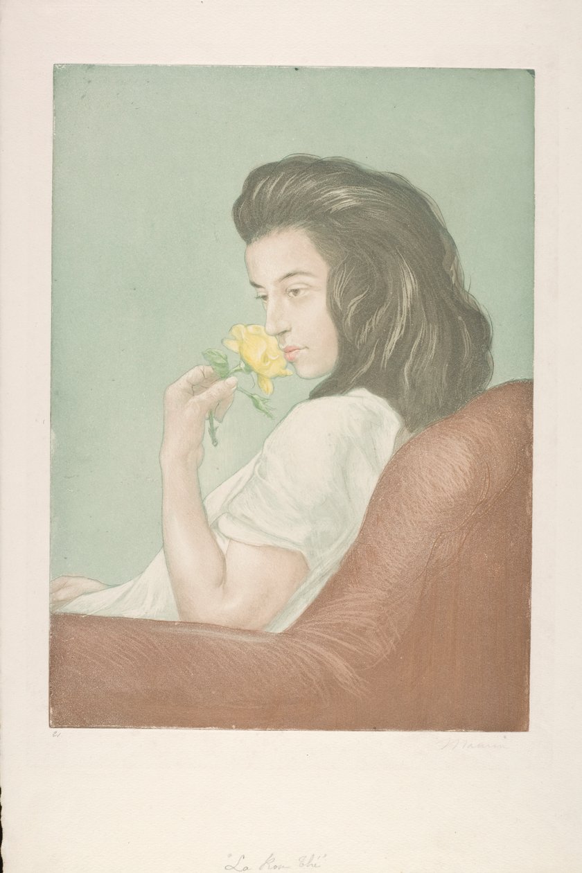 A Rosa do Chá, c.1900 (gravura de cor) de Antoine Maurin
