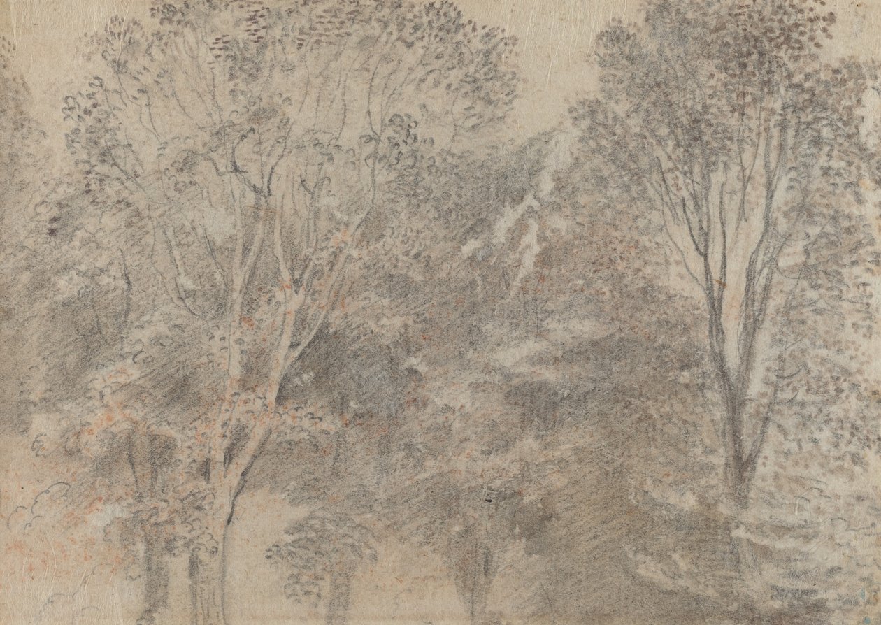 Copas das árvores [verso] de Antoine Watteau