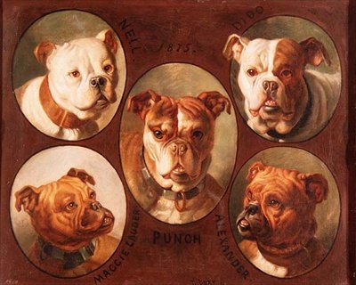 Nell, Dido, Punch, Maggie lauder e Alexander, English Bulldogs de Antoine or Tony Dury