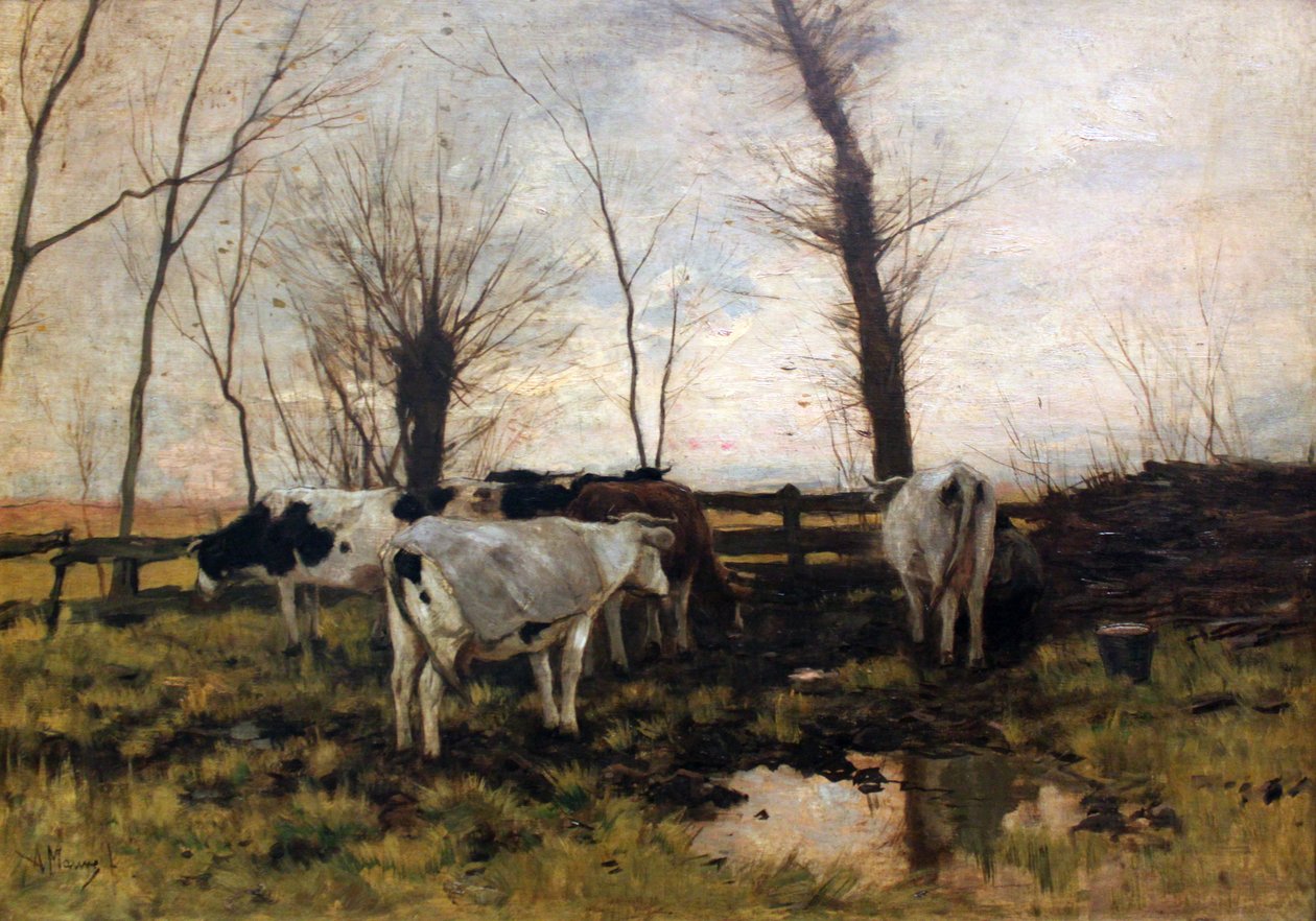 Vacas no pasto de Anton Mauve