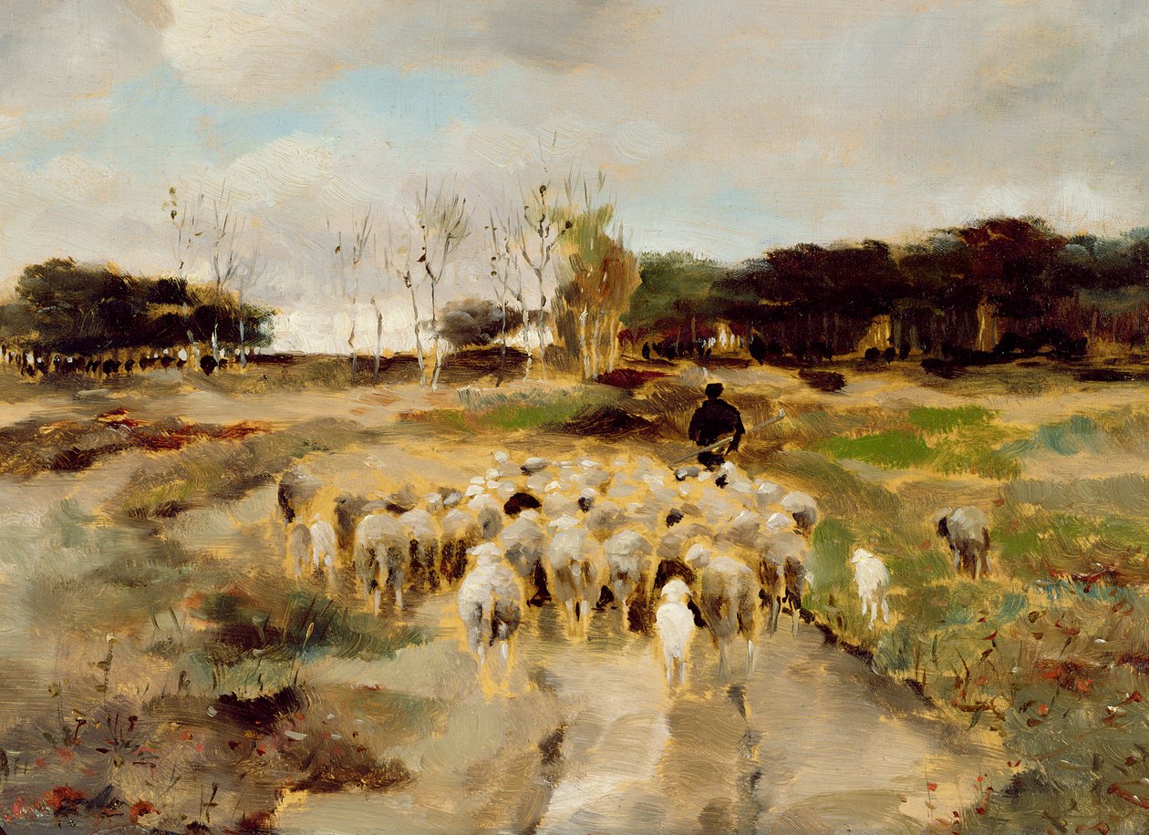 Rebanho de ovelhas (óleo sobre papel) de Anton Mauve