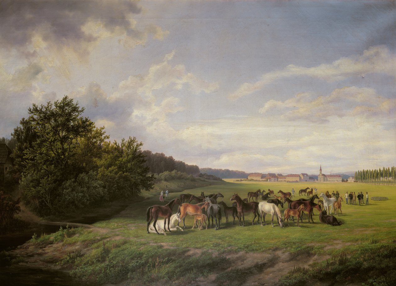 Vista do Studfarm Kladrub na Boêmia, 1850 de Anton Schiffer