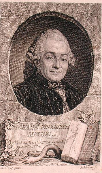 Retrato de Johann Friedrich Meckel (1724-76) gravado por John Schleuen (fl.1740-74) (gravura) de Anton (after) Graff