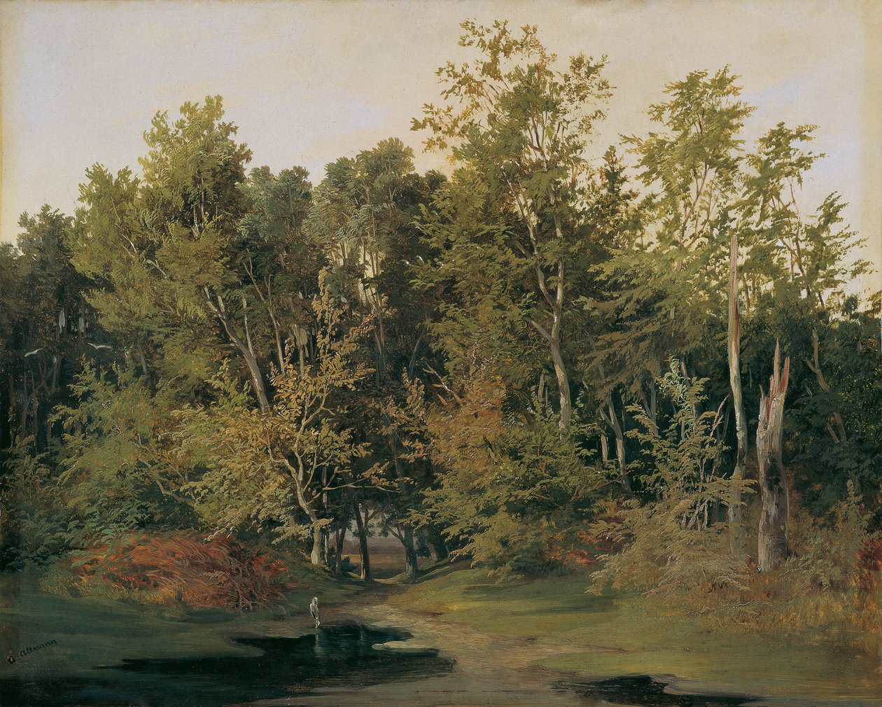 Paisagem florestal na Baixa Áustria de Anton Altmann d. J.