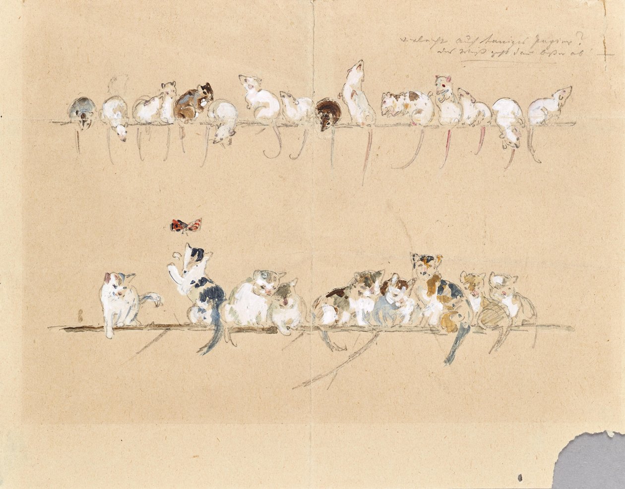 Ratos e gatos de Anton Hartinger