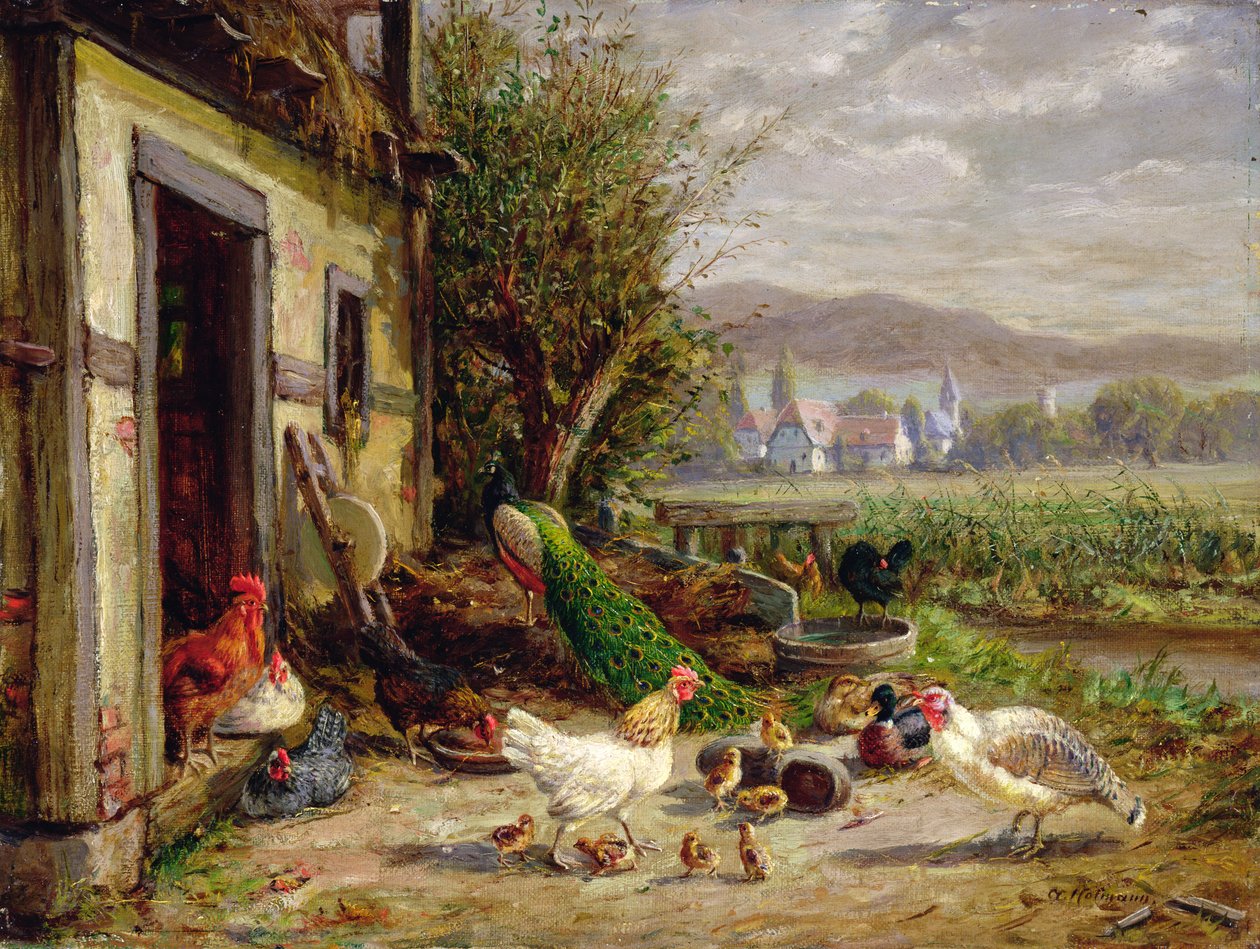 Galinhas, patos e um pavão por um canal de Anton Hoffmann
