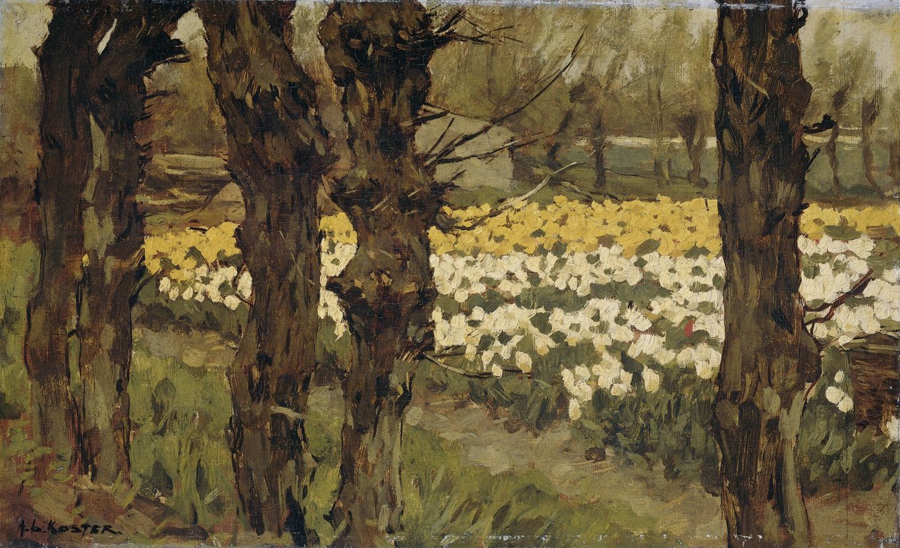 Campos de tulipas de Anton L. Koster