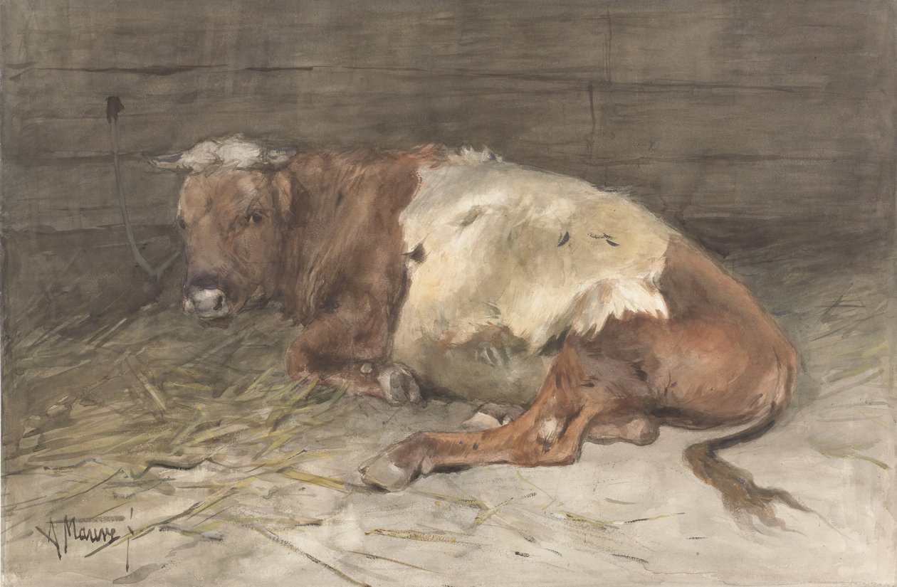 Mentira jovem touro de Anton Mauve