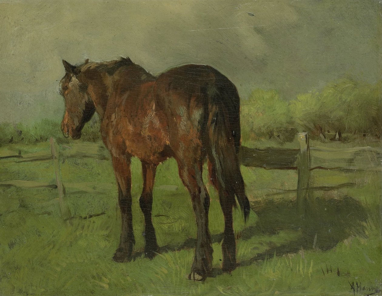 Cavalo de Anton Mauve