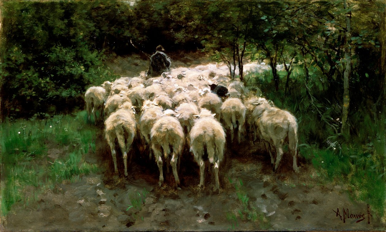 Ovelhas na floresta, século XIX. de Anton Mauve