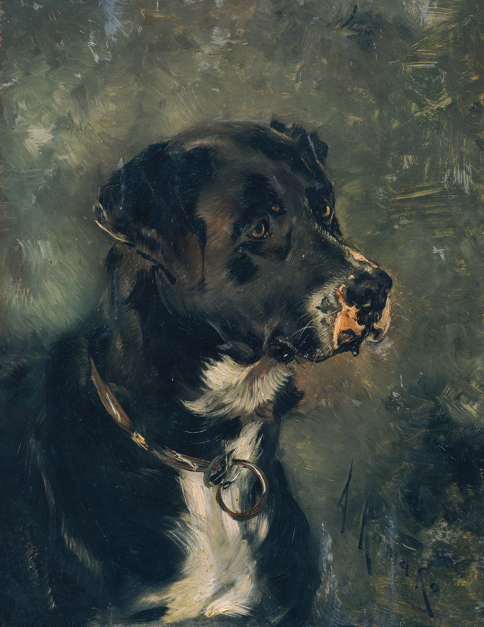 Cabeça de um cão de açougueiro de Anton Romako