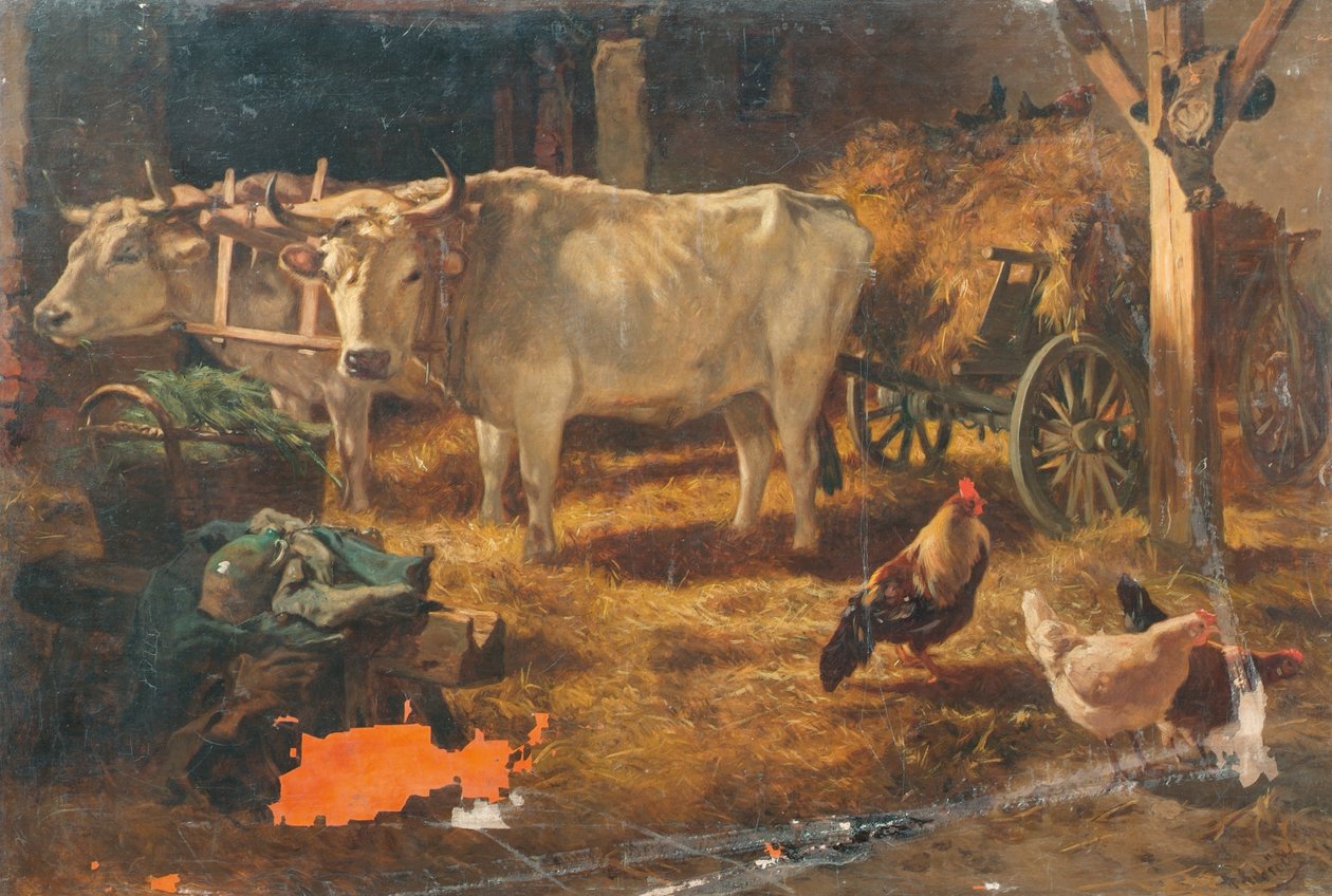 Bois no estábulo de Anton Schrodl