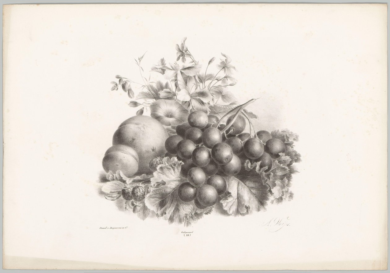 Flores, pêssego, nectarina, uvas e amoras silvestres
Estudos de Flores e Frutos (...) 10ª prestação (título da série) de Anton Weiss