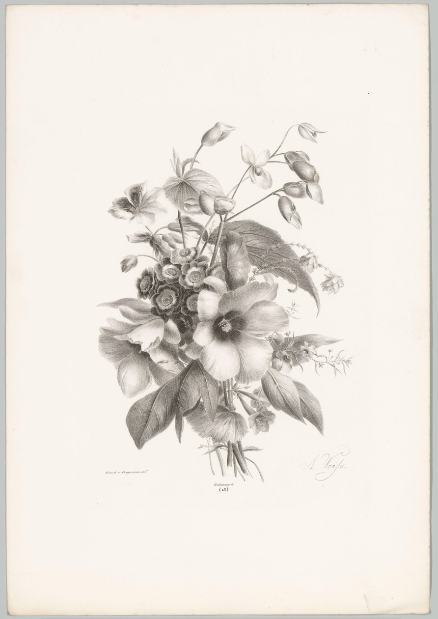 Flores diversas
Flor e Fruta Studien (...) 10ª edição (título da série) de Anton Weiss