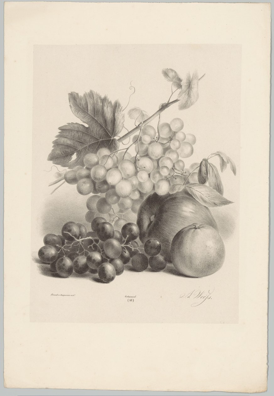 Uvas vermelhas e brancas e maçãs
Flor e Fruta Studien (...) 10ª edição (título da série) de Anton Weiss