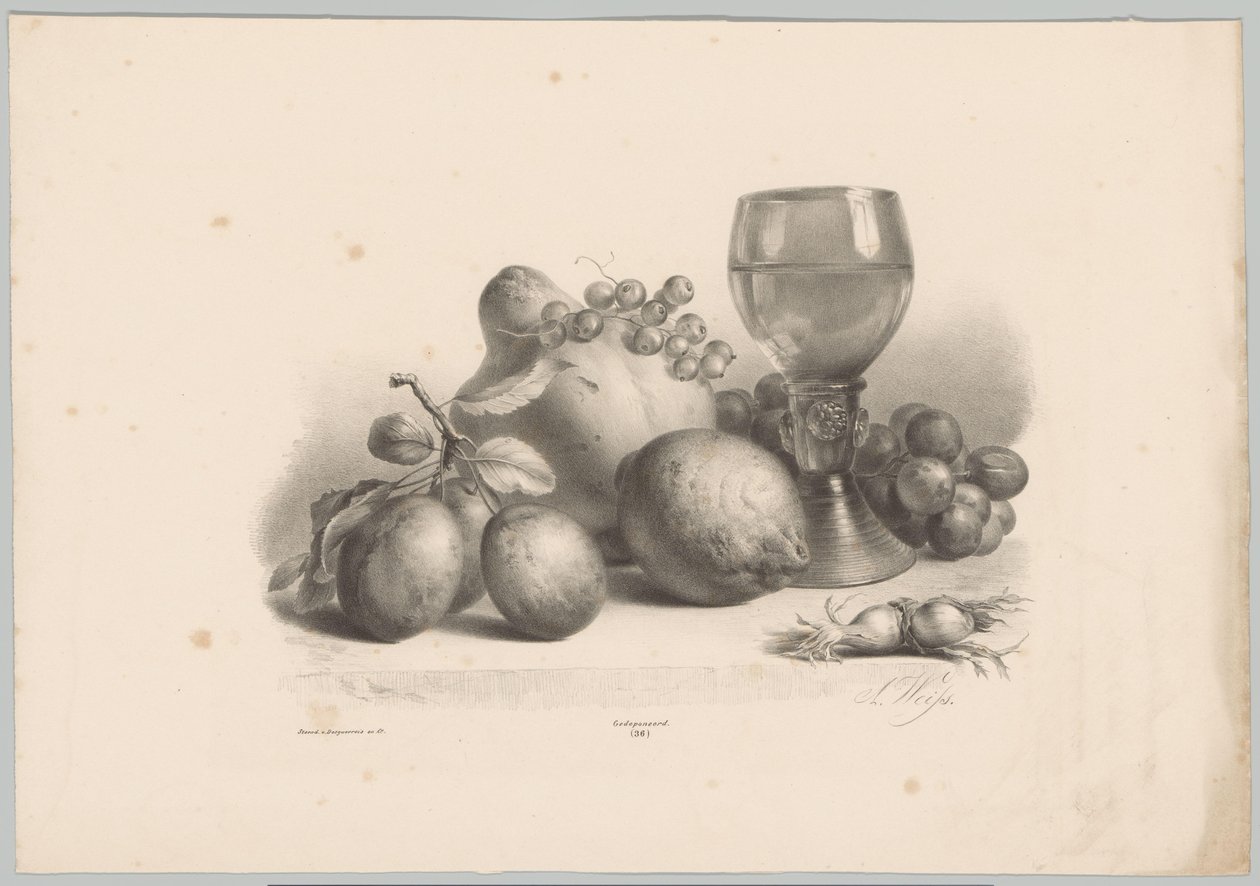 Natureza morta com vidro, ameixas, limão, uvas e avelãs
Flor e Fruta Studien (...) 10ª prestação (título da série) de Anton Weiss