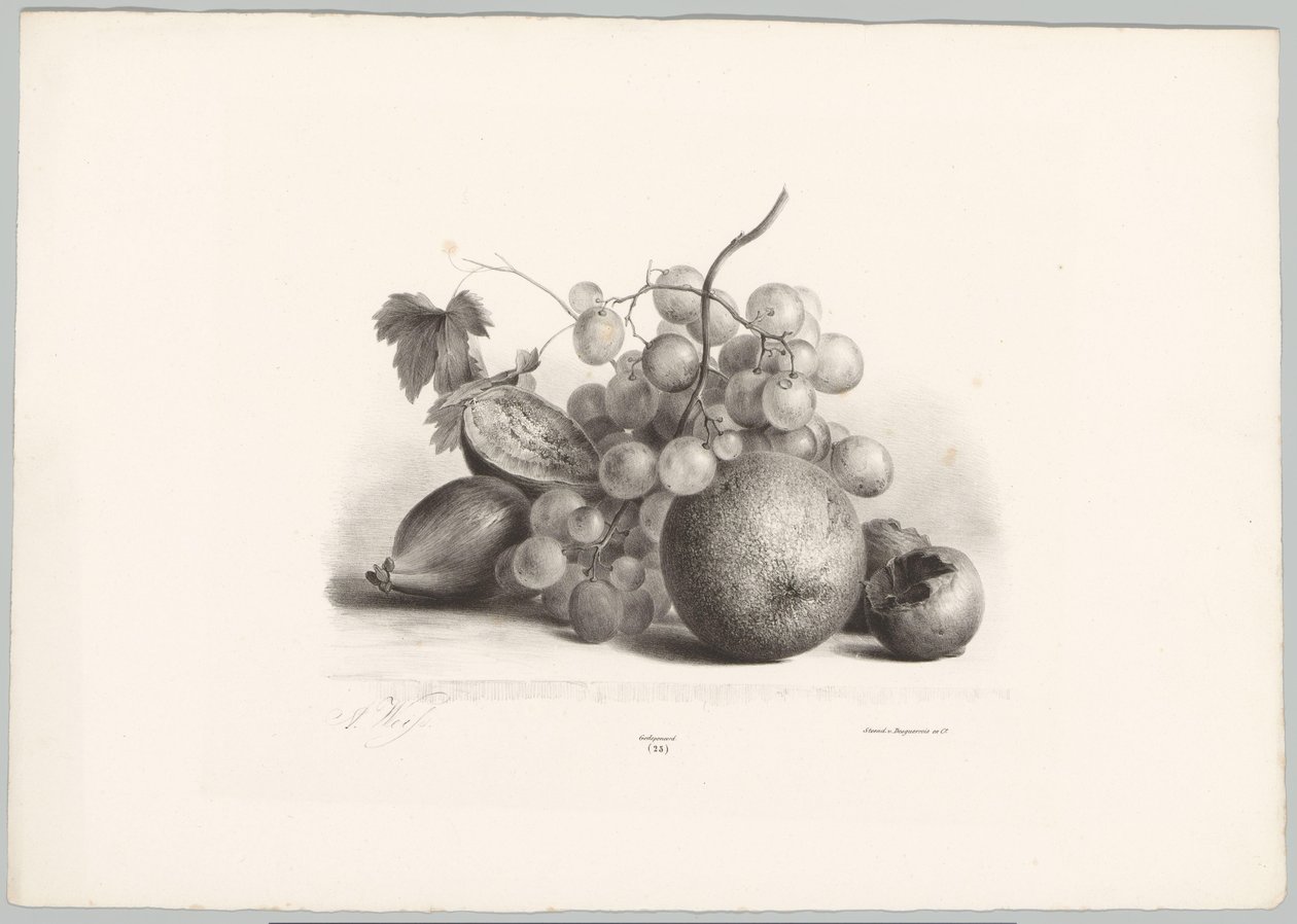 Figos, uvas e laranjas
Estudos de Flores e Frutos (...) 10ª prestação (título da série) de Anton Weiss
